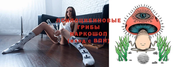 соль ск Алзамай