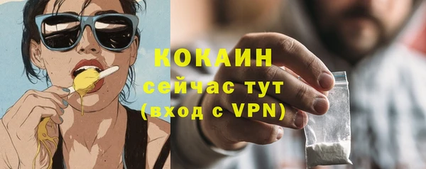 соль ск Алзамай