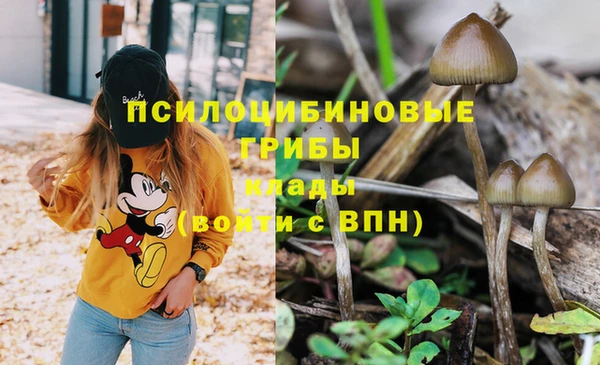 соль ск Алзамай