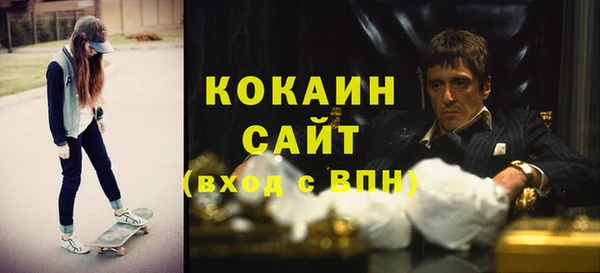 соль ск Алзамай