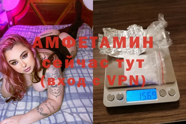 соль ск Алзамай